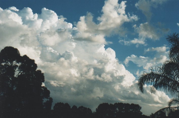 thunderstorm cumulonimbus_incus : Wollongbar, NSW   29 December 1999