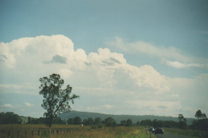 thunderstorm cumulonimbus_incus : Coraki, NSW   31 December 1999