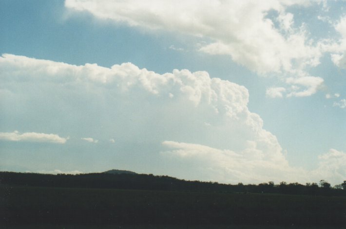 thunderstorm cumulonimbus_incus : Whiporie Road, NSW   31 December 1999