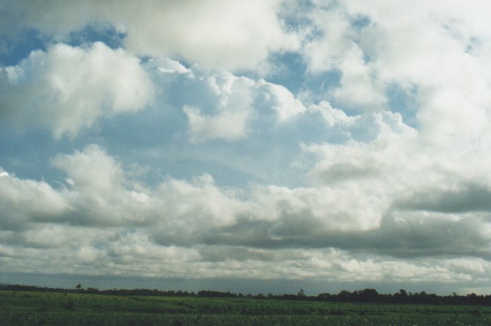 stratus stratus_cloud : Woodburn, NSW   31 December 1999
