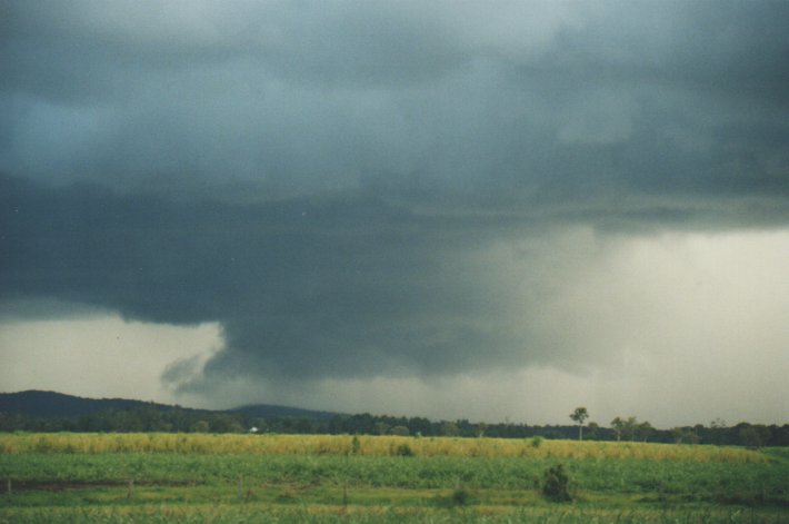 wallcloud thunderstorm_wall_cloud : Woodburn, NSW   31 December 1999