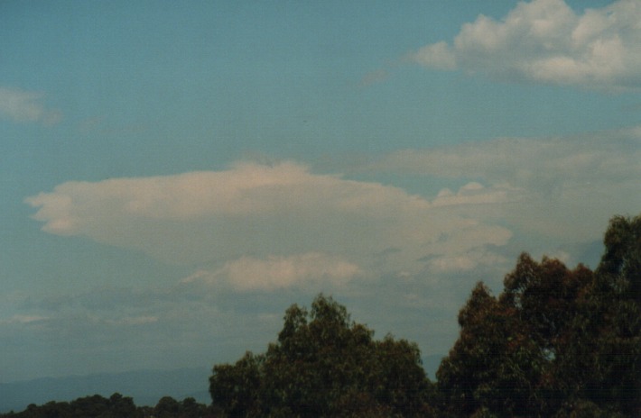 thunderstorm cumulonimbus_incus : Rooty Hill, NSW   4 January 2000