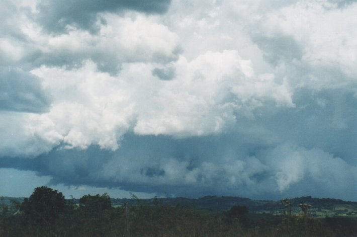 cumulonimbus supercell_thunderstorm : Parrots Nest, NSW   5 January 2000