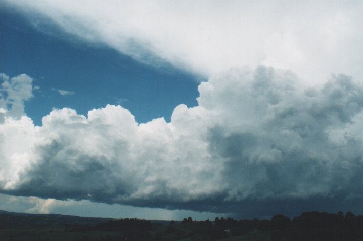 cumulus congestus : McLeans Ridges, NSW   5 January 2000