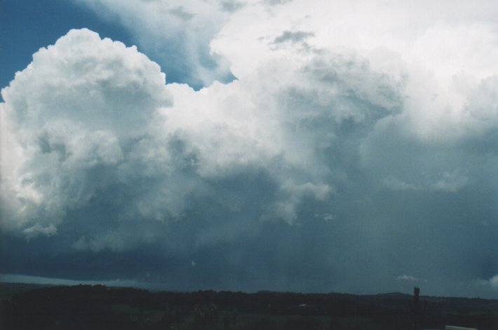 cumulonimbus supercell_thunderstorm : McLeans Ridges, NSW   5 January 2000