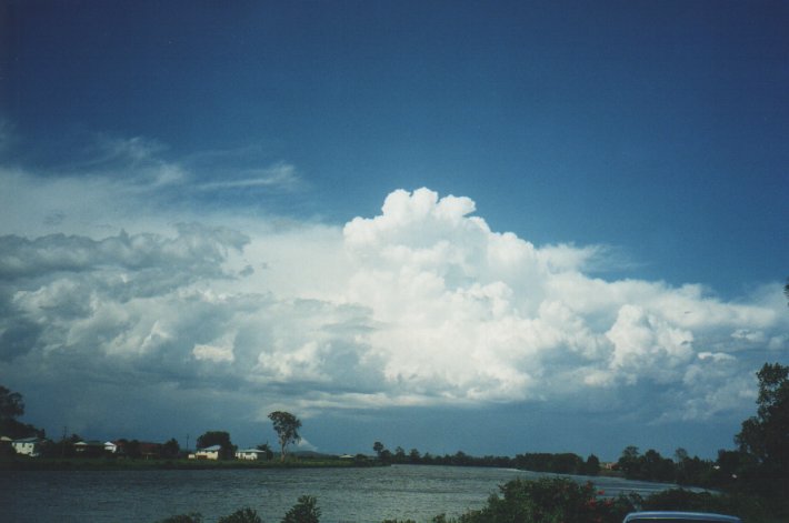 thunderstorm cumulonimbus_incus : Woodburn, NSW   5 January 2000