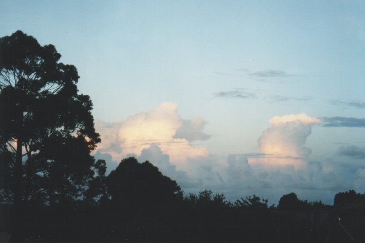 cumulus congestus : Wollongbar, NSW   14 January 2000