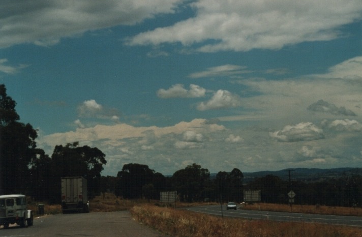 cumulus humilis : Moonbi Hill, NSW   17 January 2000