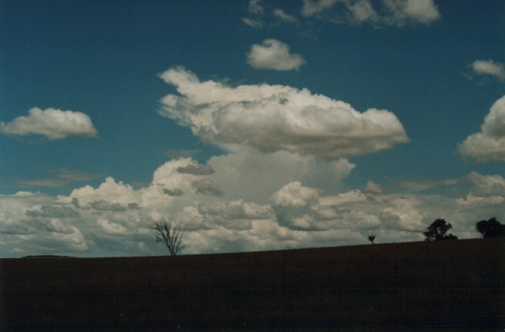 thunderstorm cumulonimbus_incus : S of Uralla, NSW   17 January 2000