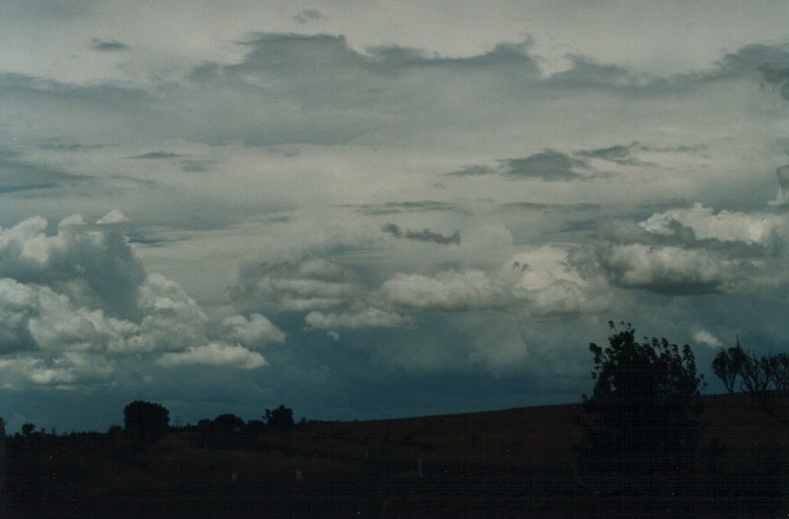 cumulonimbus thunderstorm_base : S of Uralla, NSW   17 January 2000