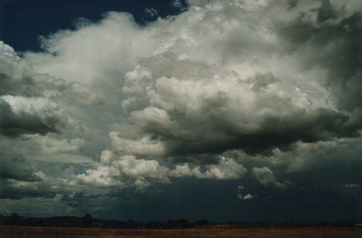 thunderstorm cumulonimbus_incus : N of Armidale, NSW   17 January 2000