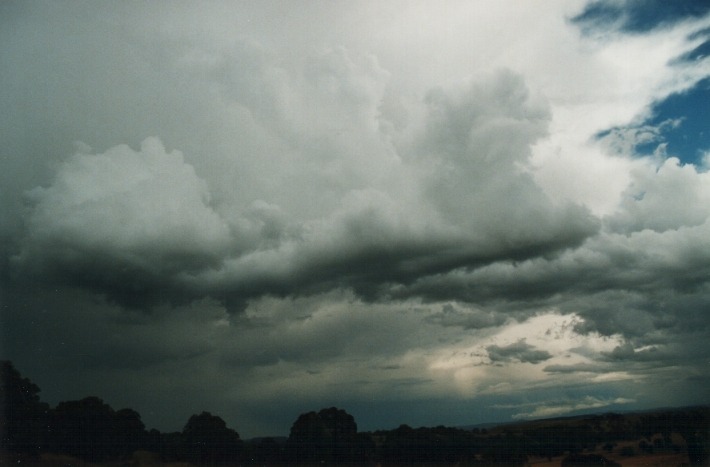 cumulonimbus thunderstorm_base : Ben Lomond Range, NSW   17 January 2000