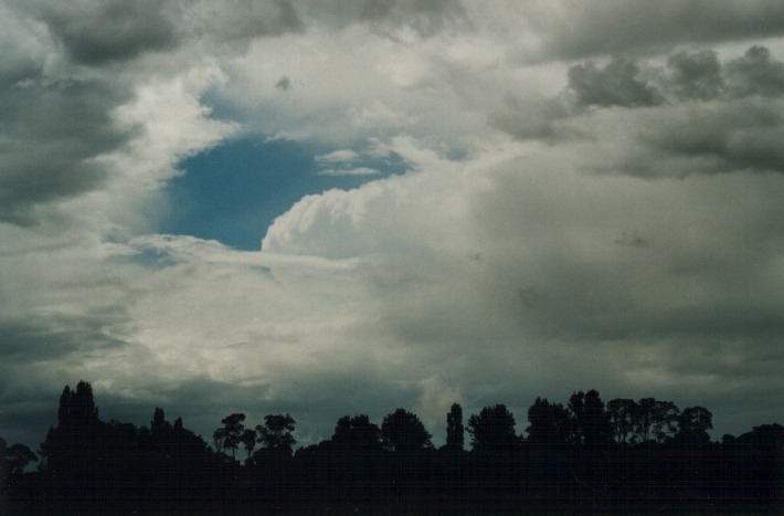 thunderstorm cumulonimbus_incus : Glen Innes, NSW   17 January 2000
