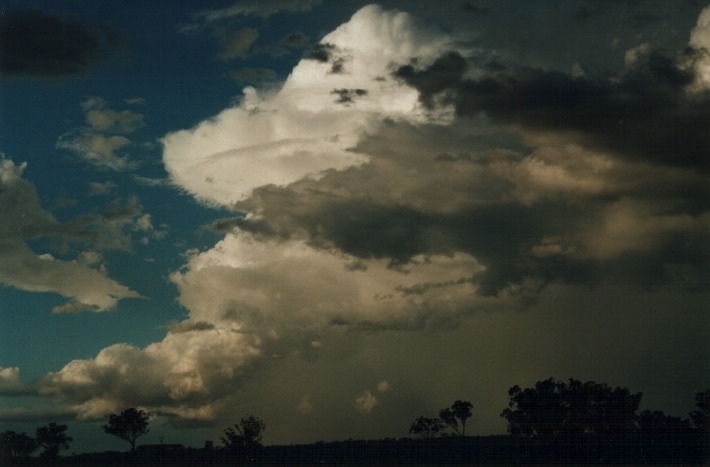 thunderstorm cumulonimbus_incus : 20km E of Inverell, NSW   17 January 2000