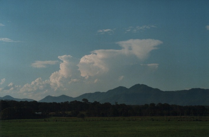 thunderstorm cumulonimbus_incus : Urunga, NSW   19 January 2000