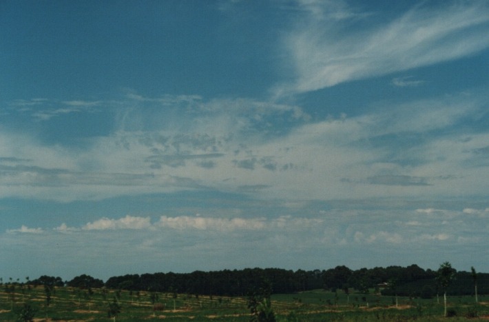 altocumulus castellanus : Rous near Lismore, NSW   21 January 2000