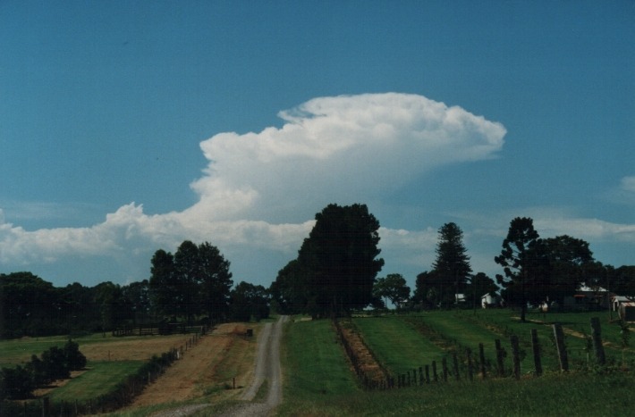 thunderstorm cumulonimbus_incus : Rous near Lismore, NSW   21 January 2000