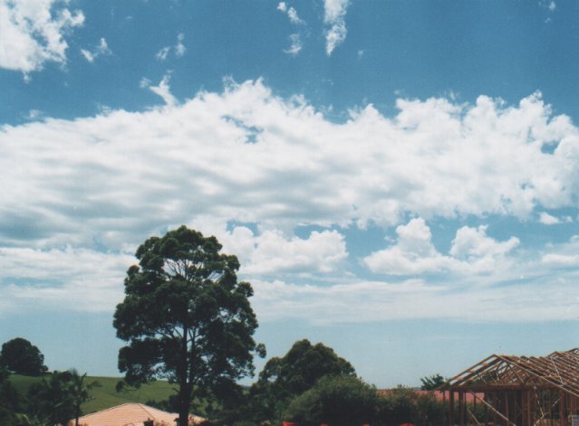 altocumulus castellanus : Wollongbar, NSW   21 January 2000