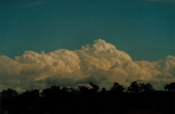 thunderstorm cumulonimbus_calvus : Bathurst, NSW   27 January 2000