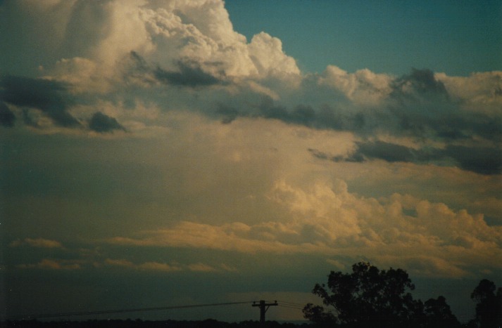 updraft thunderstorm_updrafts : Schofields, NSW   9 March 2000