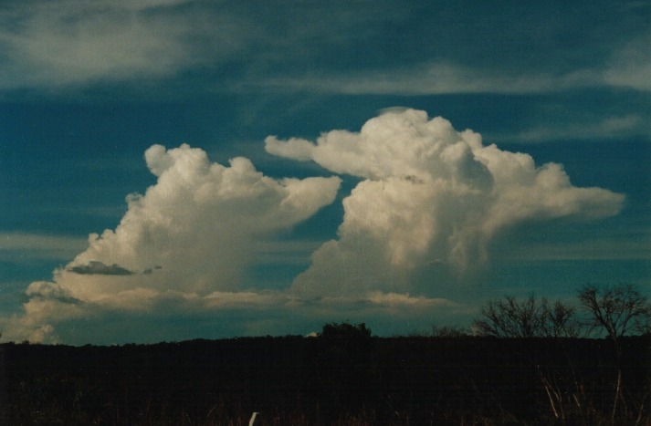 thunderstorm cumulonimbus_calvus : Lithgow, NSW   18 March 2000