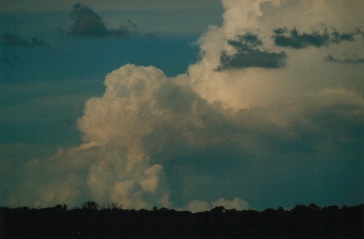 thunderstorm cumulonimbus_incus : Lithgow, NSW   18 March 2000