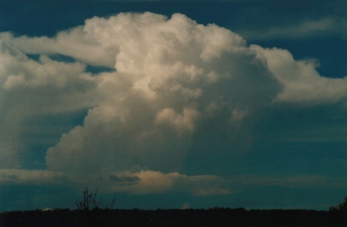 updraft thunderstorm_updrafts : Lithgow, NSW   18 March 2000