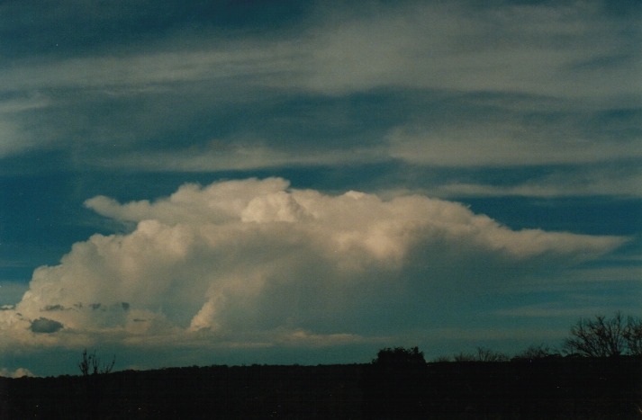 thunderstorm cumulonimbus_incus : Lithgow, NSW   18 March 2000