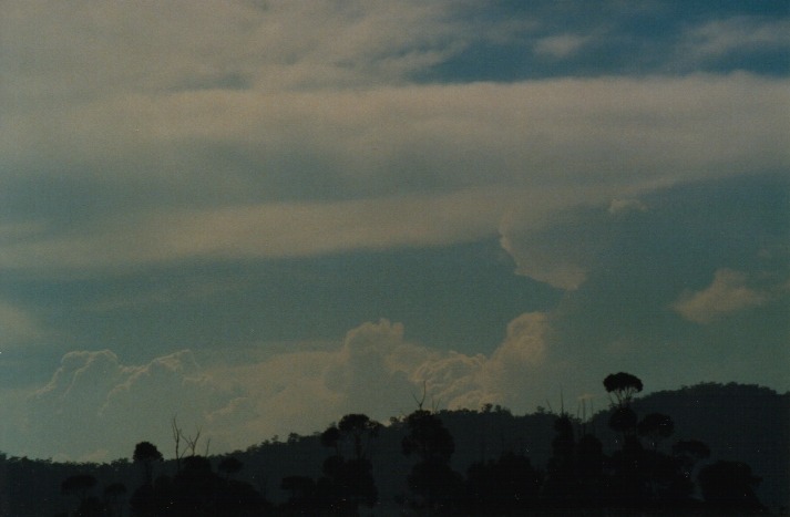 thunderstorm cumulonimbus_calvus : Denman, NSW   19 March 2000