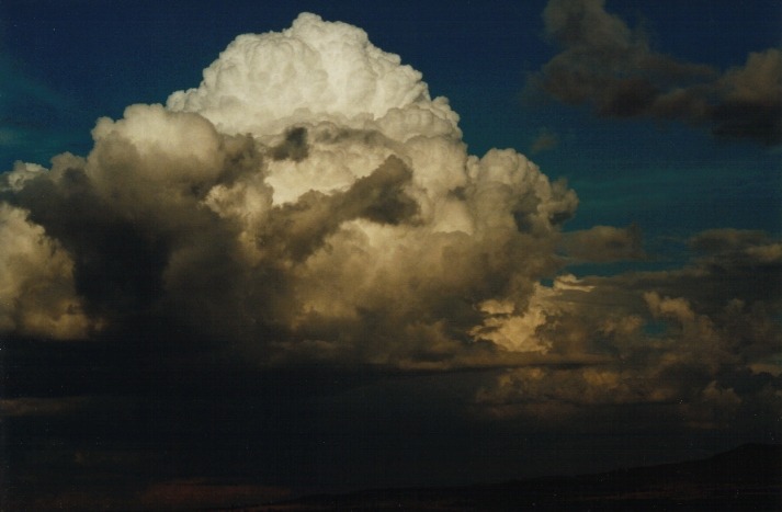 thunderstorm cumulonimbus_calvus : E of Premer, NSW   1 April 2000