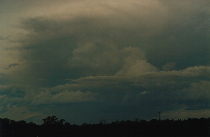 raincascade precipitation_cascade : Schofields, NSW   16 April 2000