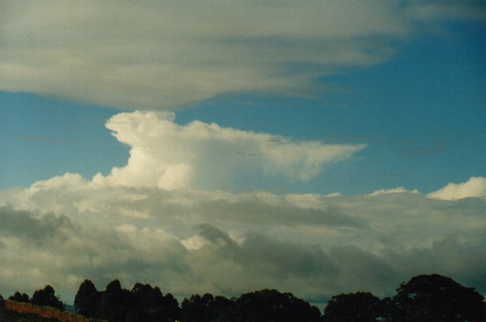 stratocumulus stratocumulus_cloud : McLeans Ridges, NSW   26 June 2000