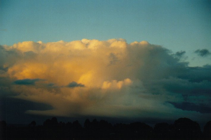 cumulus congestus : McLeans Ridges, NSW   26 June 2000