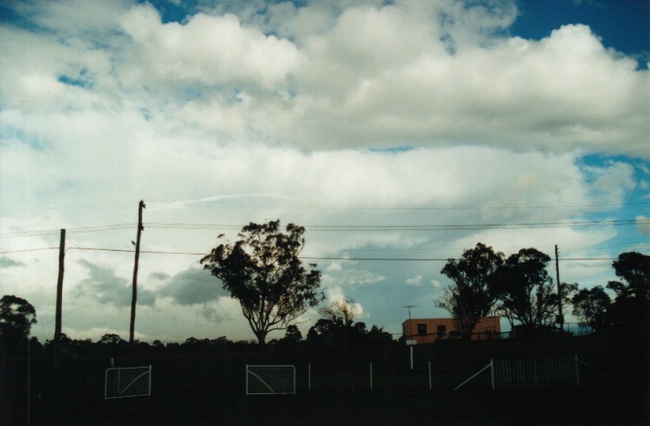 stratocumulus stratocumulus_cloud : Schofields, NSW   29 June 2000