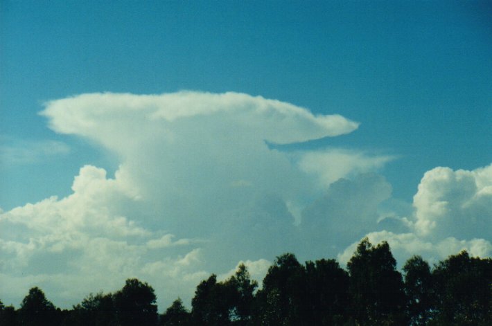 thunderstorm cumulonimbus_incus : McLeans Ridges, NSW   5 July 2000
