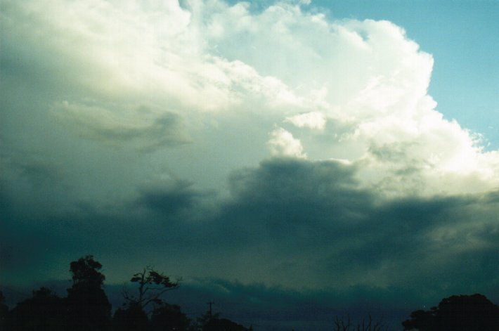 thunderstorm cumulonimbus_incus : McLeans Ridges, NSW   9 July 2000
