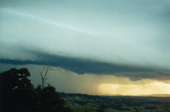 raincascade precipitation_cascade : McLeans Ridges, NSW   9 July 2000