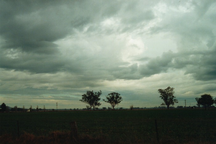cumulus congestus : Gunnedah, NSW   10 July 2000