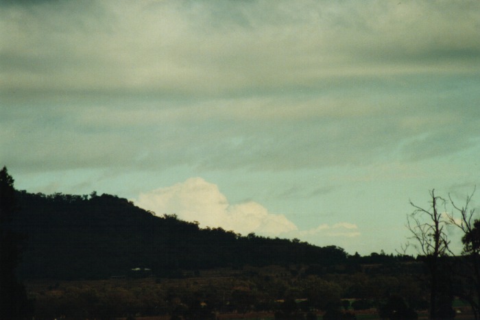 altocumulus castellanus : Gunnedah, NSW   10 July 2000