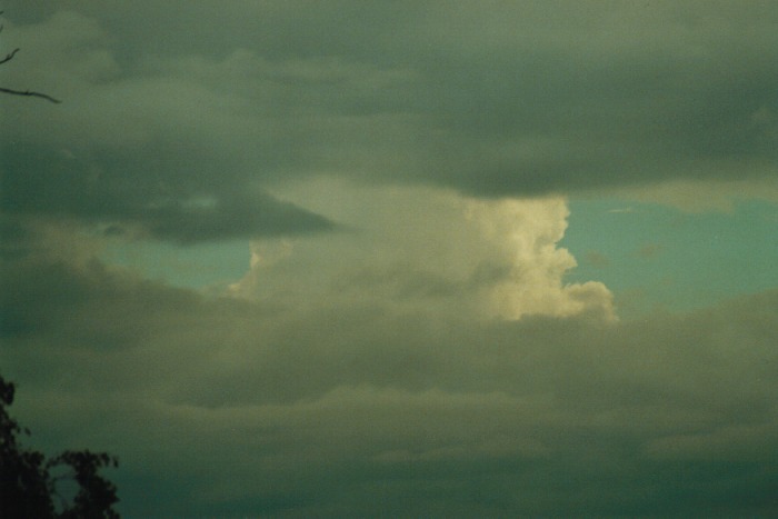 thunderstorm cumulonimbus_incus : Gunnedah, NSW   10 July 2000