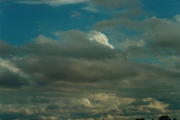 stratocumulus stratocumulus_cloud : Boggabri, NSW   10 July 2000