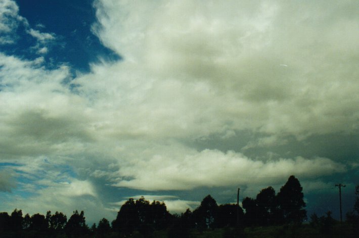 thunderstorm cumulonimbus_incus : McLeans Ridges, NSW   11 July 2000
