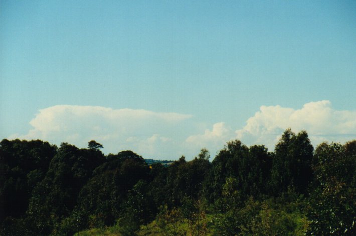 thunderstorm cumulonimbus_incus : McLeans Ridges, NSW   13 July 2000