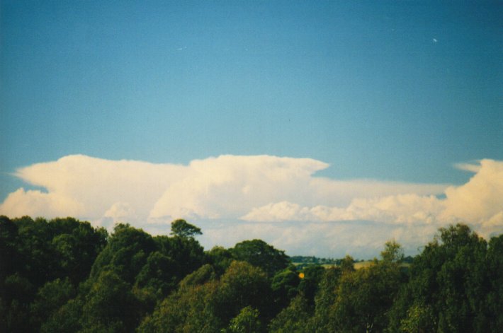 thunderstorm cumulonimbus_incus : McLeans Ridges, NSW   13 July 2000