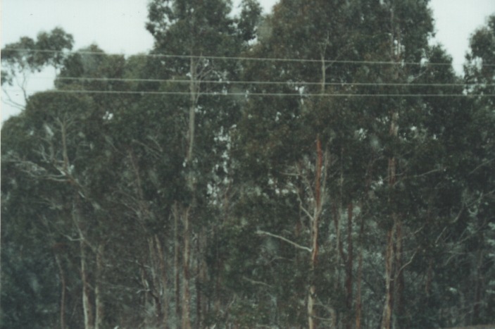 precipitation precipitation_rain : Cherry Tree Hill, NSW   27 July 2000