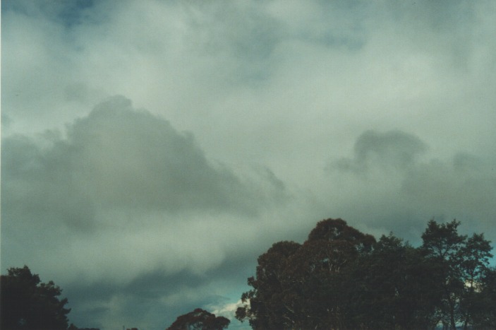 mammatus mammatus_cloud : Cherry Tree Hill, NSW   27 July 2000
