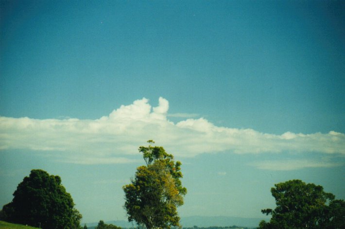 altocumulus castellanus : McLeans Ridges, NSW   20 August 2000