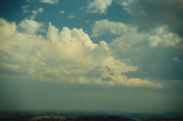 cumulus congestus : Rous, NSW   20 August 2000