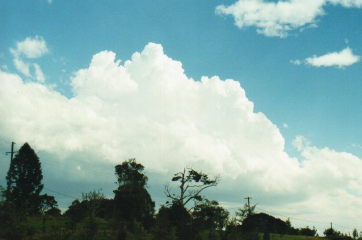 cumulus congestus : McLeans Ridges, NSW   23 August 2000