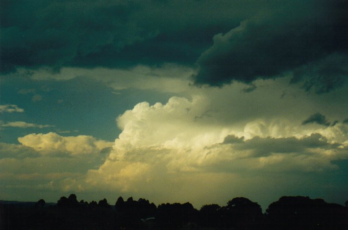 thunderstorm cumulonimbus_incus : McLeans Ridges, NSW   23 August 2000